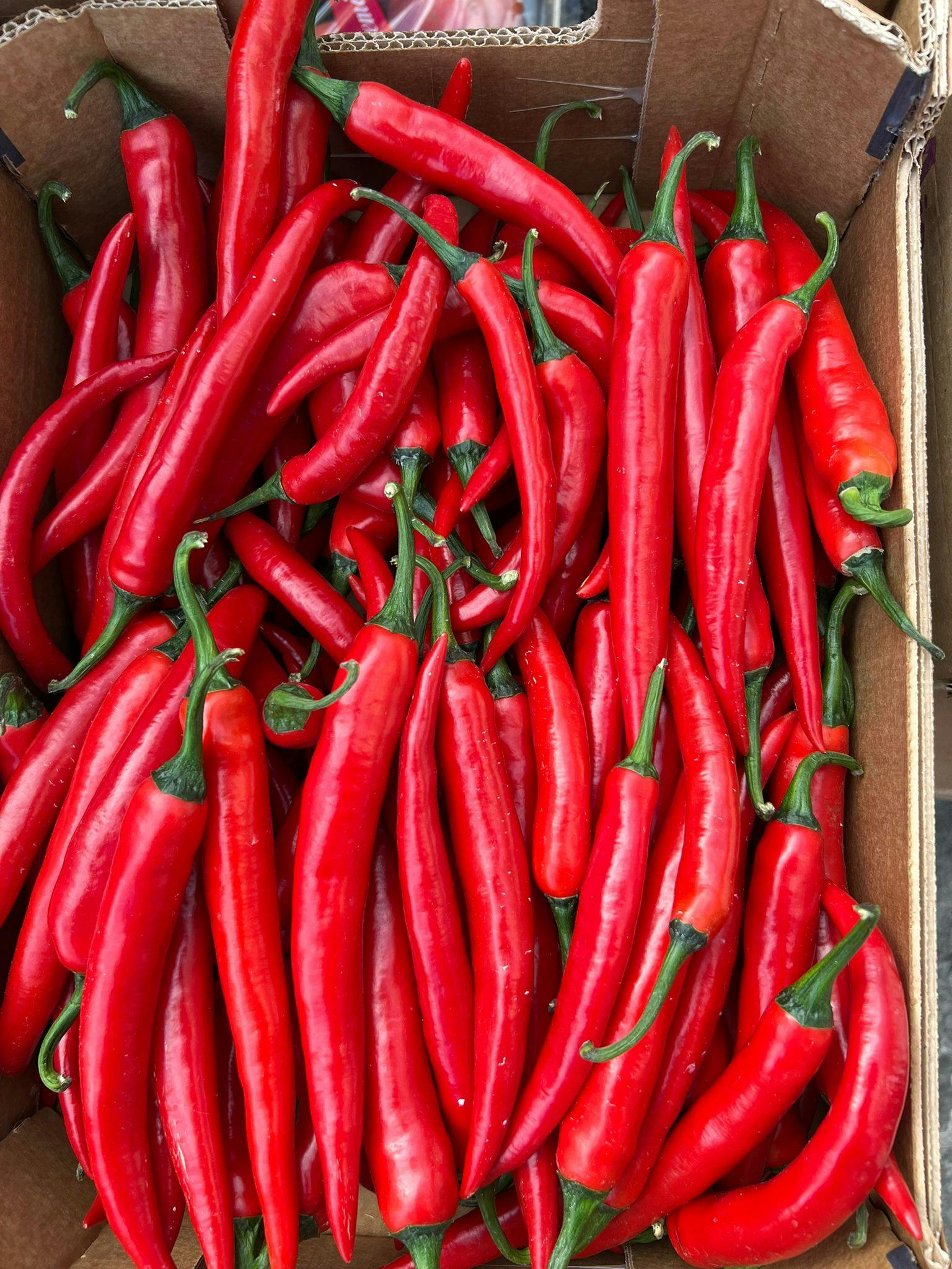 Large juicy red peppers