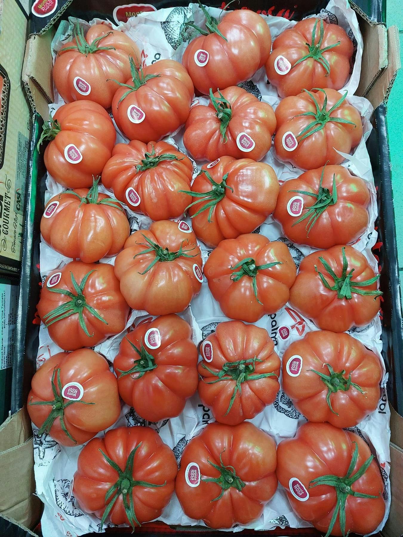 Really large and juicy tomatos